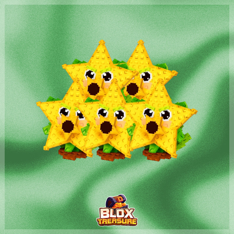 5x Starfruit Bundle