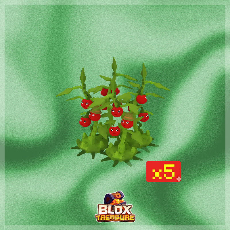 5X Tomatrio Bundle